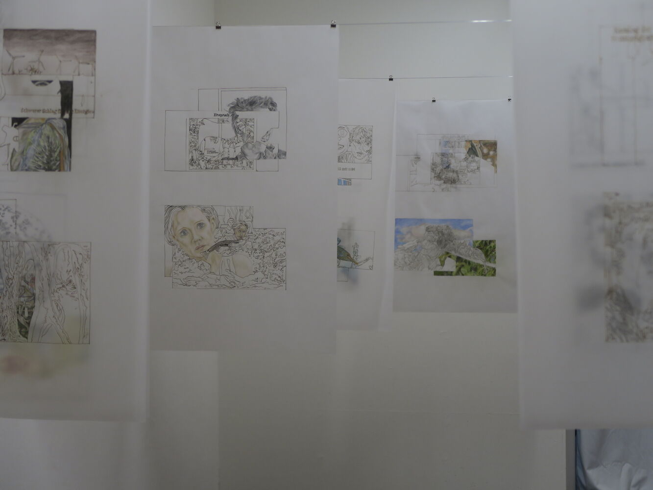 Kathrina Rudolph, "Both Sides"